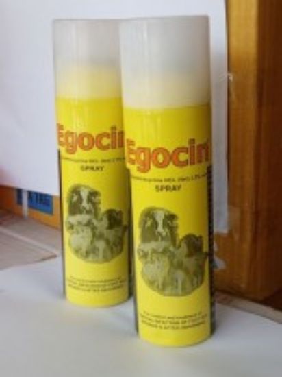 Picture of EGOCIN AEROSOL SPRAY 200ML