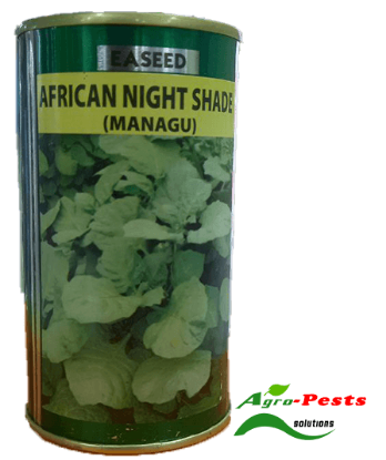 Picture of African Night Shade (Managu)