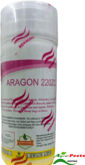 Picture of Aragon
