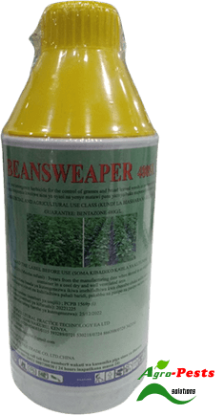 Picture of Beansweeper
