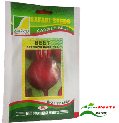 Picture of Beet Detroits Dark Red