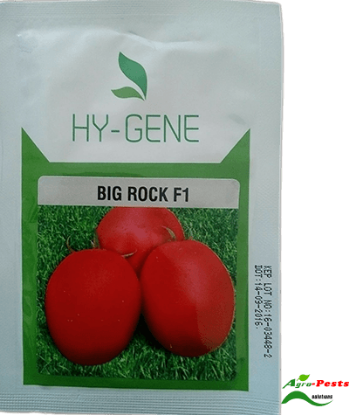 Picture of Big rock F1