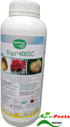 Picture of Bigo 400SC