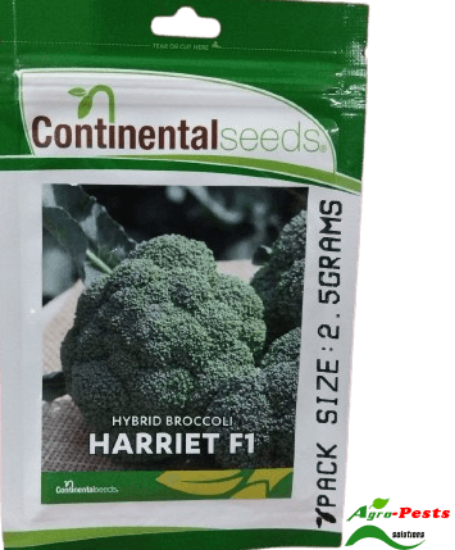 Picture of Broccoli Harriet