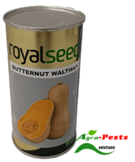 Picture of Butternut Waltham Royal Seed 100g