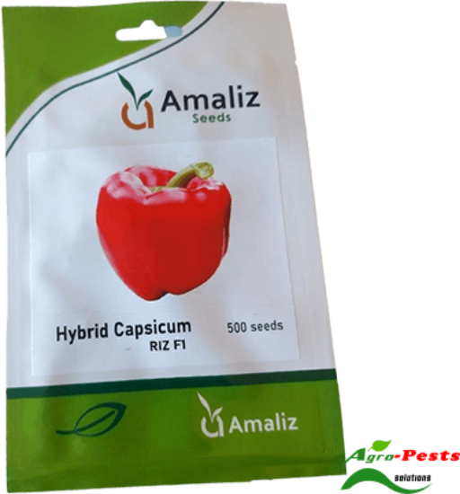 Picture of Capsicum Riz F1