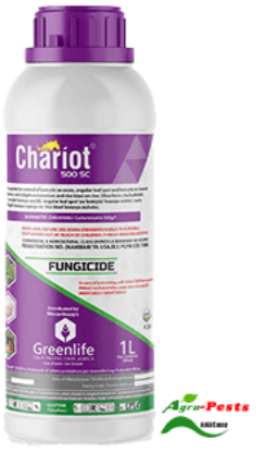 Picture of Chariot