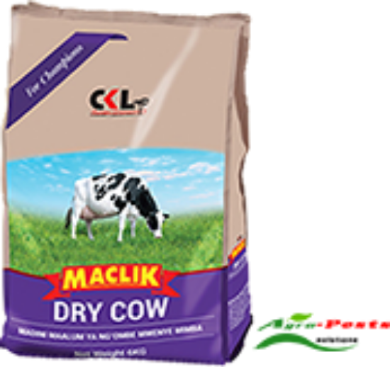 Picture of ckl-Maclik-DRY-COW
