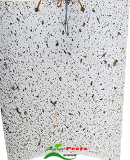 Picture of Delta Sticky Liner