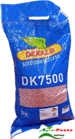 Picture of DK 7500