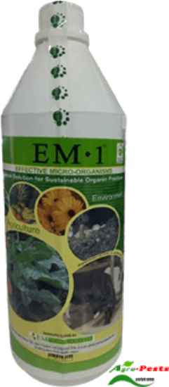 Picture of EM1