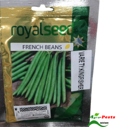 Picture of French Beans Kingfisher