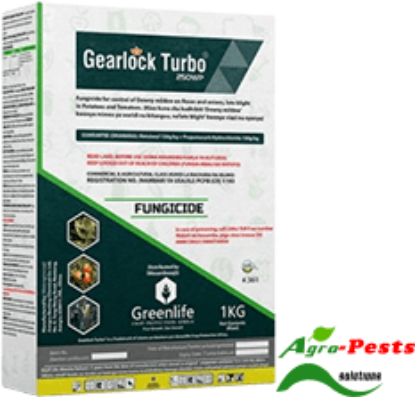 Picture of Gearlock Turbo