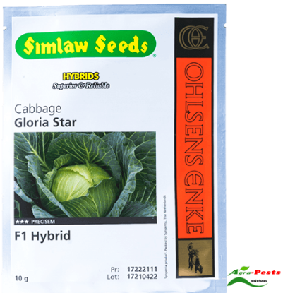 Picture of Gloria Star F1 Cabbage