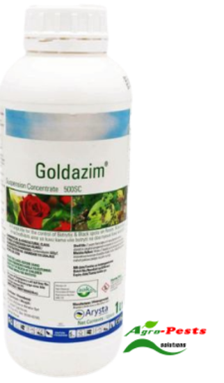 Picture of goldazim