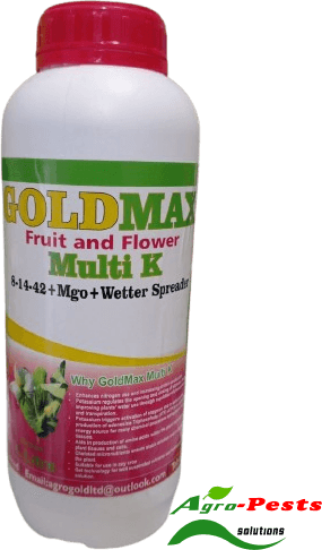 Picture of Goldmax Fruit and Flower