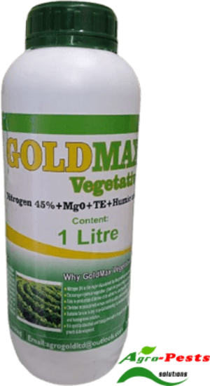 Picture of Goldmax Vegetative
