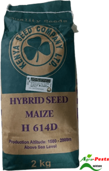Picture of H 614D
