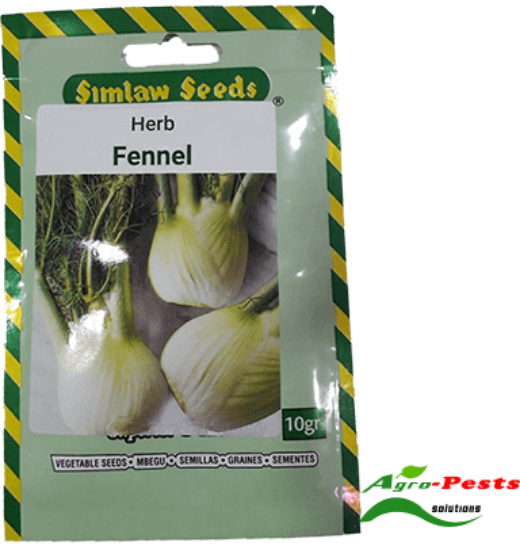 Picture of Herb Fennel