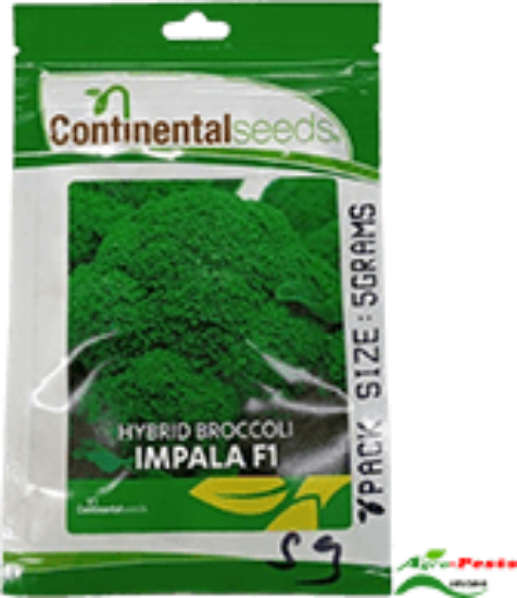 Picture of Impala F1 Brocolli