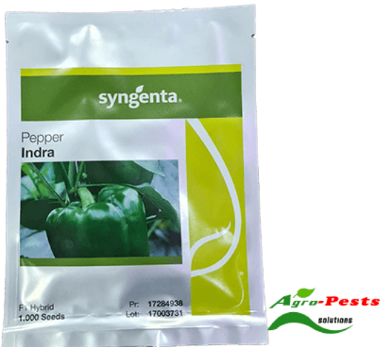 Picture of Indra Pepper 1000 seeds