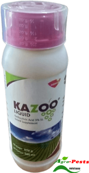 Picture of Kazoo