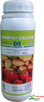 Picture of Mainstay Calcium