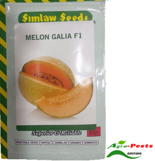 Picture of Melon Galia F1