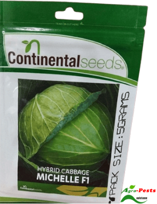 Picture of Michelle F1 Cabbage