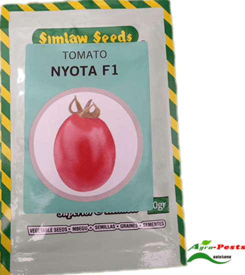 Picture of Nyota F1