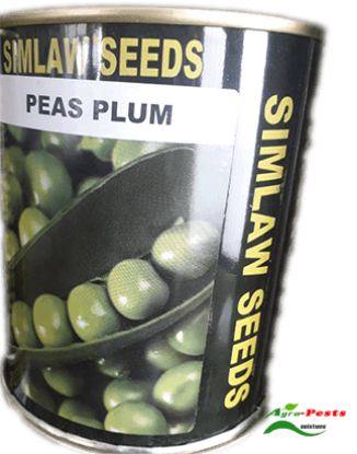 Picture of Peas plum