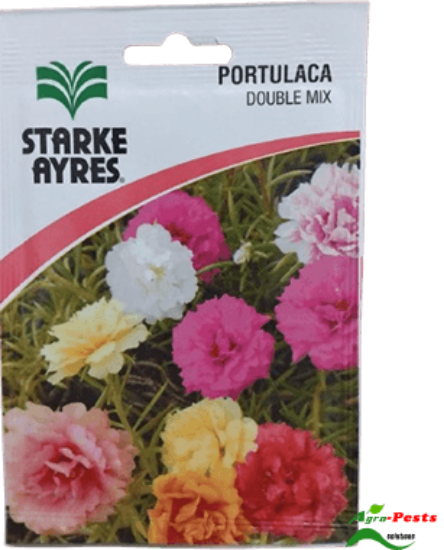 Picture of Portulaca Double Mix
