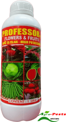 Picture of Professor K