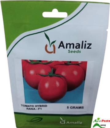 Picture of Rana F1 Tomato Amaliz