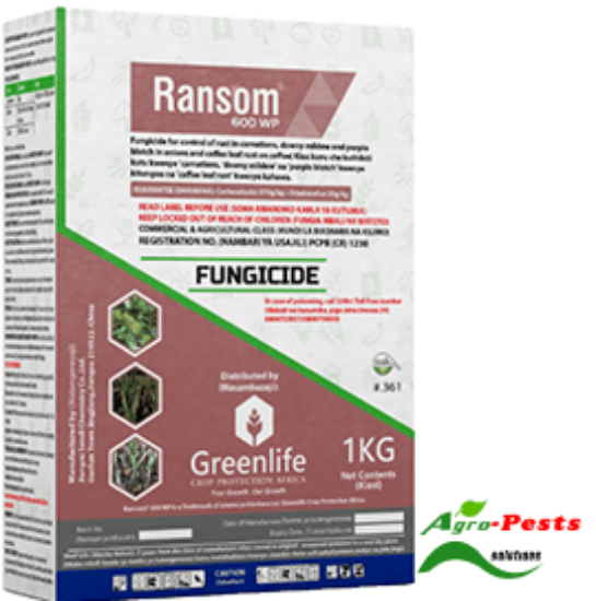 Picture of Ransom