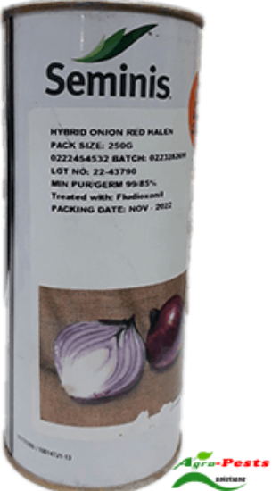 Picture of Red Halen Onion