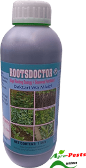 Picture of Rootsdoctor