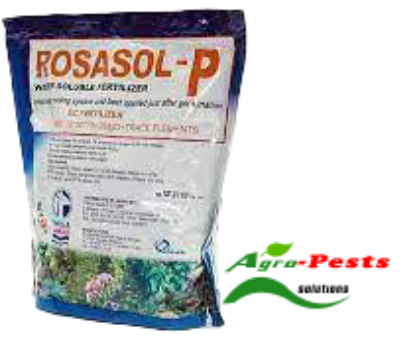 Picture of Rosasol P