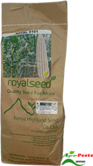 Picture of Royal 5101