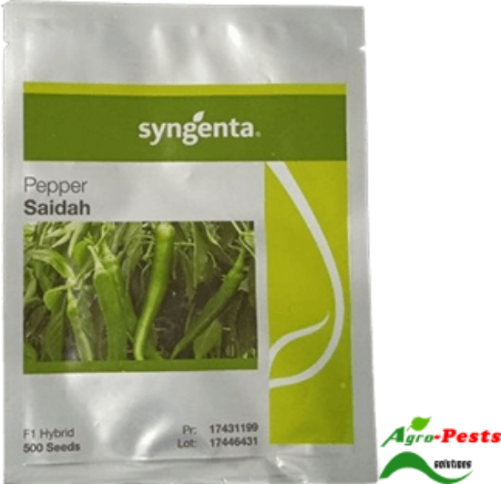 Picture of Saida Pepper 500 Seeds