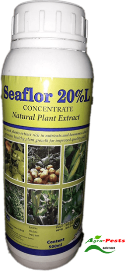 Picture of Seaflor 20_L