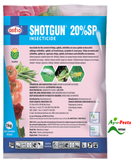 Picture of Shotgun