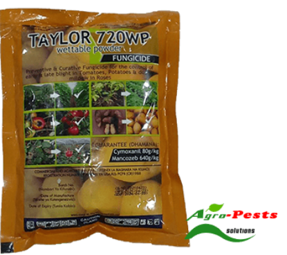 Picture of Taylor 720WP