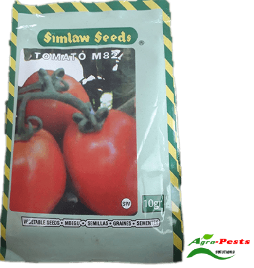 Picture of Tomato M82
