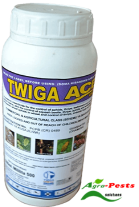 Picture of Twiga Ace