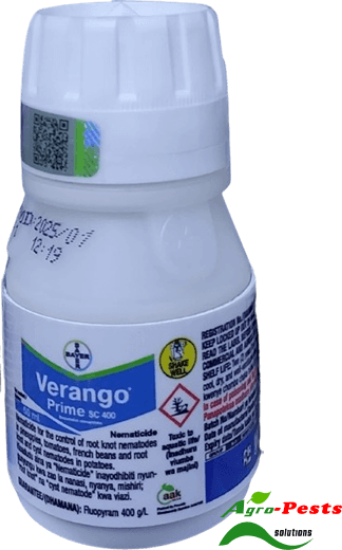 Picture of Verango Prime