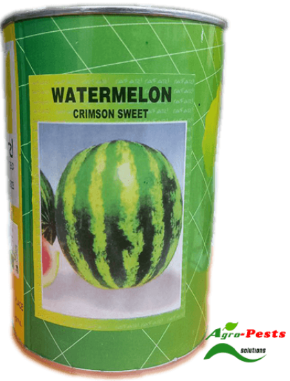 Picture of Watermelon Crimson Sweet