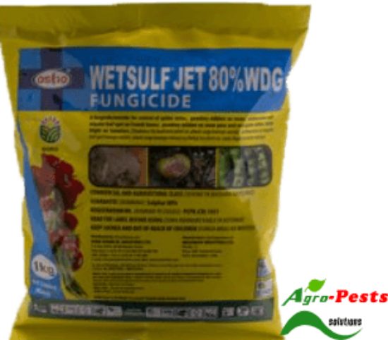 Picture of Wetsulf Jet 80_WDG