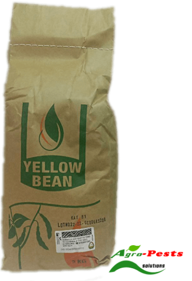Picture of Yellow bean