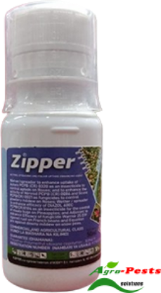 Picture of Zipper